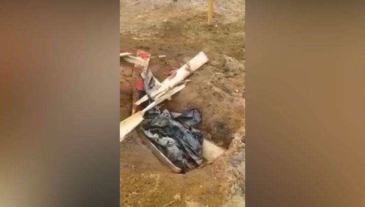 Медведь раскопал свежую могилу на кладбище в Приамурье