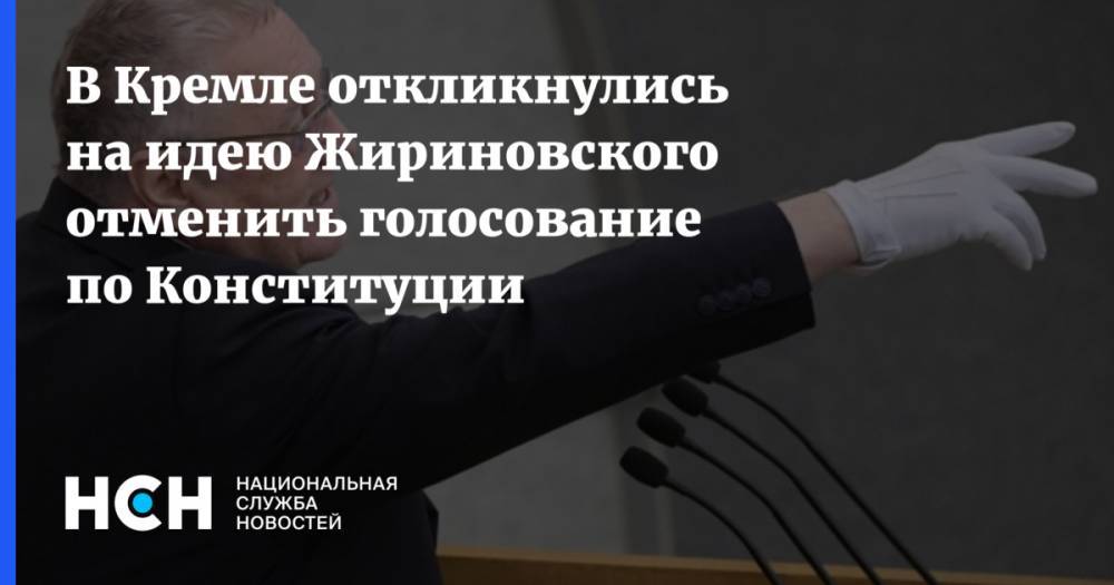В Кремле откликнулись на идею Жириновского отменить голосование по Конституции