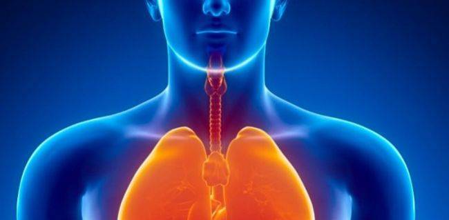 Минздрав: Роста смертности от болезней органов дыхания в России нет