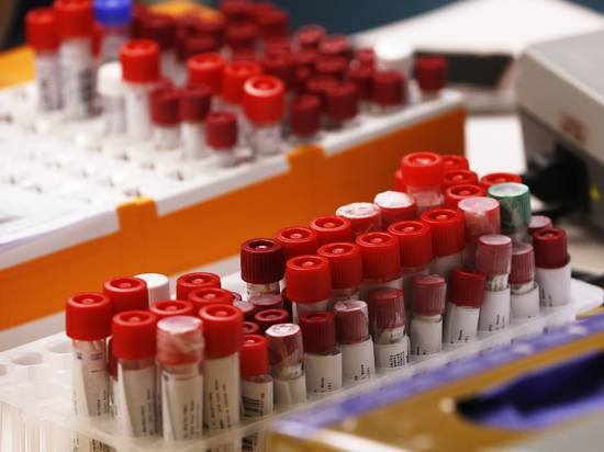 Китайские ученые выяснили, у кого вырабатывается иммунитет от коронавируса