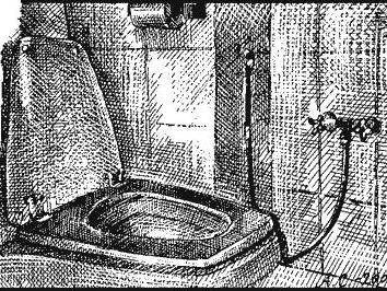 В Индонезии за нарушение правила социального дистанцирования могут заставить чистить общественные туалеты