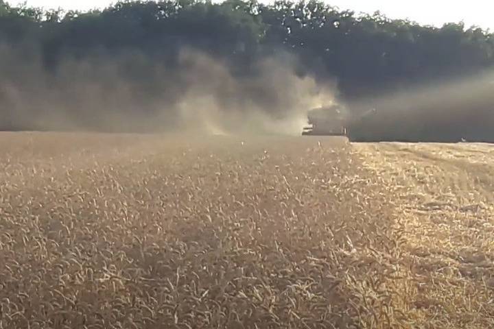 Американские аналитики сообщили, что Россию ждет рекордный урожай зерна
