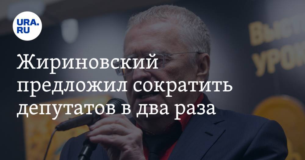 Жириновский предложил сократить депутатов в два раза. И объяснил, зачем