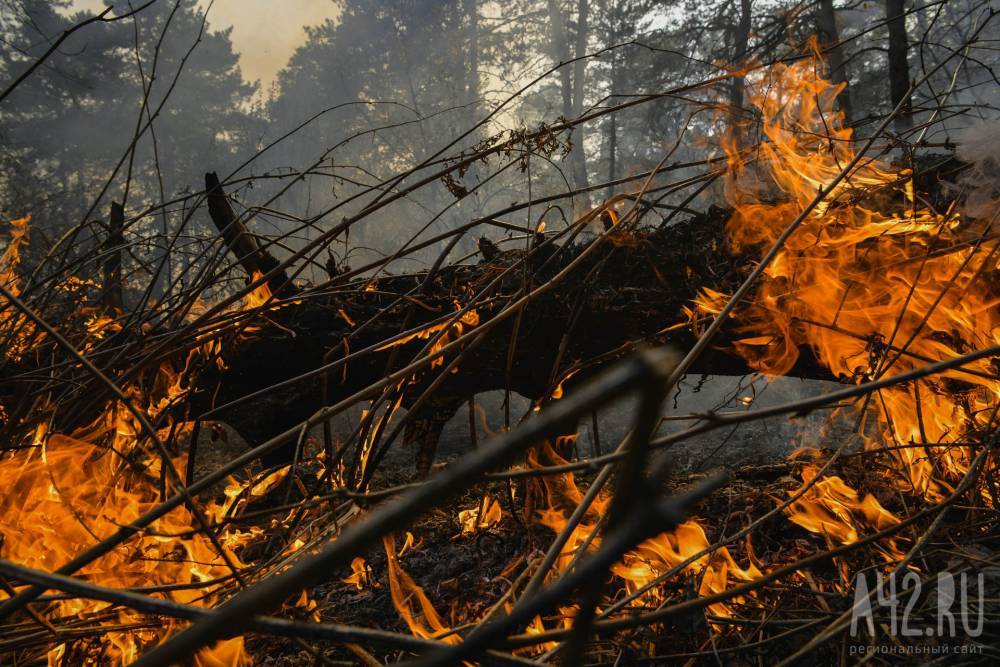 МЧС прогнозирует рост количества природных пожаров в Кузбассе