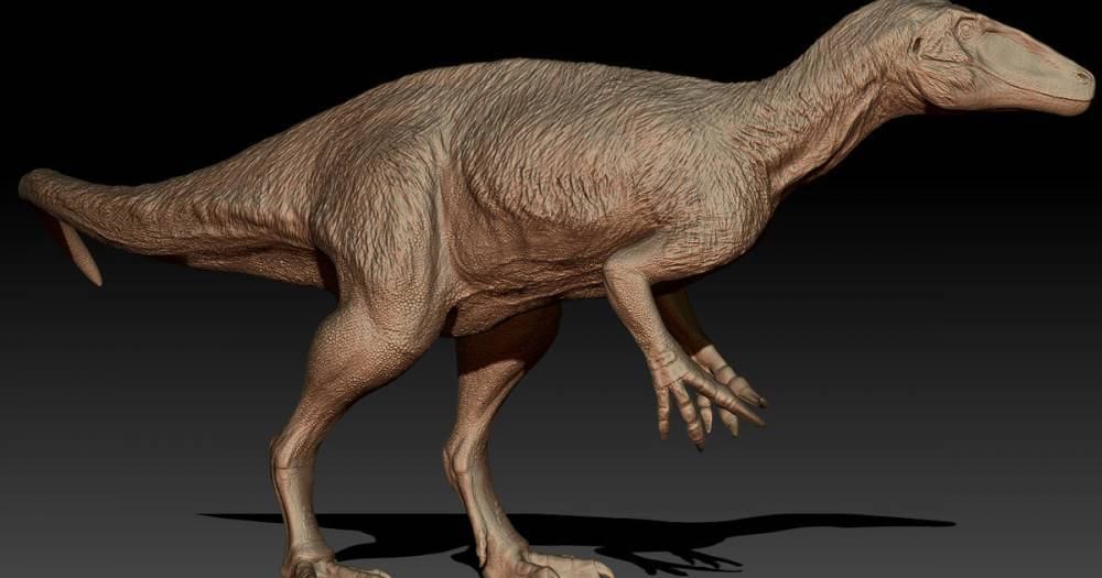 В Аргентине нашли останки огромного динозавра-хищника