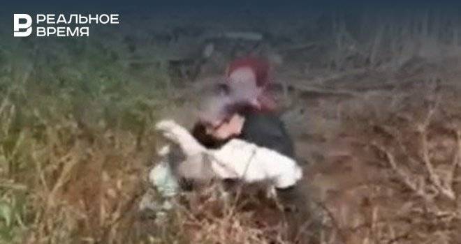 Видео: в Казани два лебедя влетели в электрические провода, спасти смогли только одного