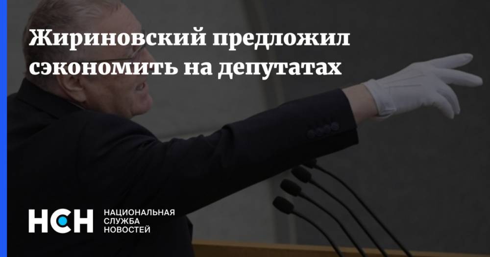 Жириновский предложил сэкономить на депутатах