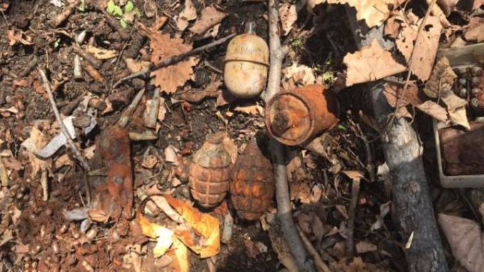 Во Владивостоке в лесу нашли схрон с гранатами и боеприпасами