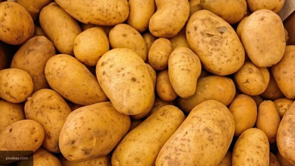 Ученые обнаружили особую пользу картофеля для женского тела