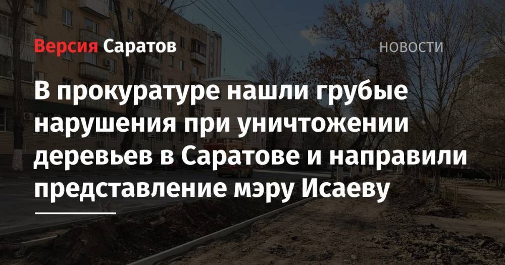 В прокуратуре нашли грубые нарушения при уничтожении деревьев в Саратове и направили представление мэру Исаеву