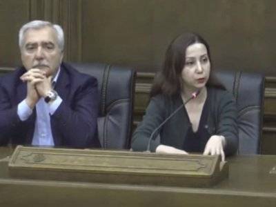 Депутат от «Моего шага» пояснила, как будет осуществляться половое воспитание детей в Армении