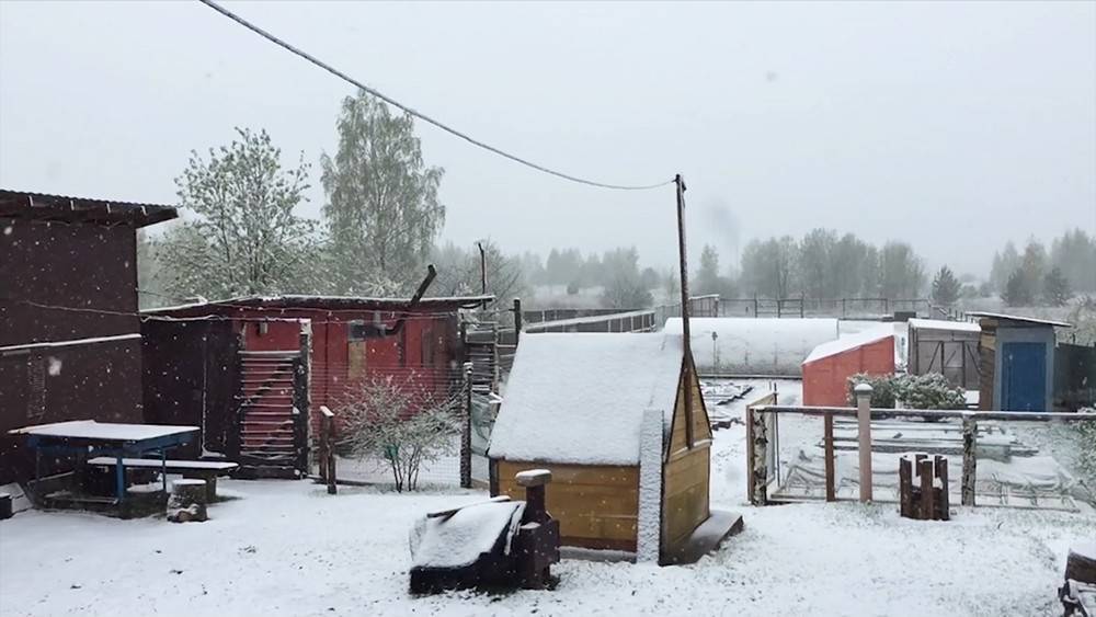 Снежный май: в ряде регионов России установилась аномальная погода