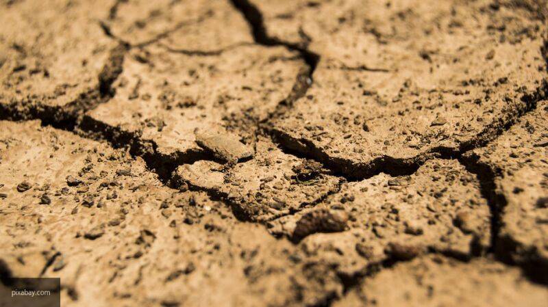 Агроном Тимофеева: низкая влажность почвы из-за дефицита осадков скажется на урожае