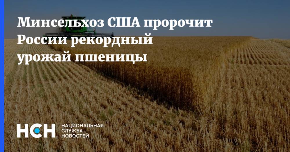 Минсельхоз США пророчит России рекордный урожай пшеницы