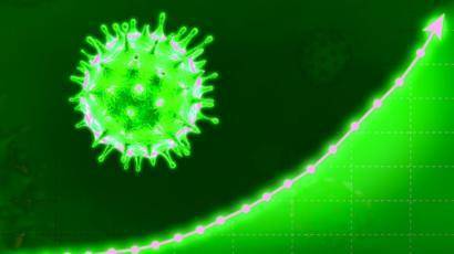 Внутреннее распространение коронавируса почти закончилось