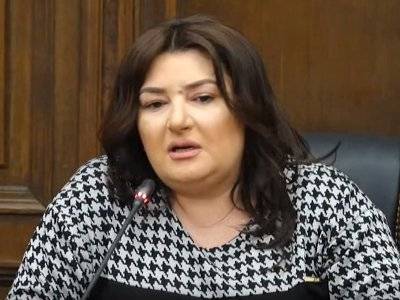 «Процветающая Армения»: По инциденту в парламенте должно быть проведено расследование