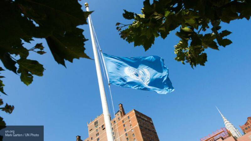 Эксперты ООН воспользовалась развенчанным фейком о ЧВК "Вагнера" при создании своего доклада