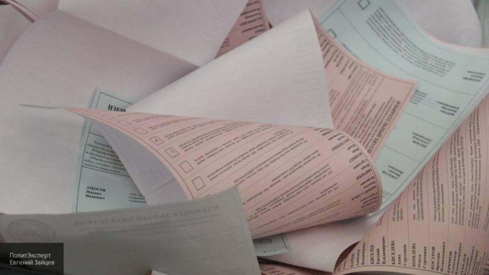 Россияне смогут голосовать на выборах и референдумах по почте и дистанционно