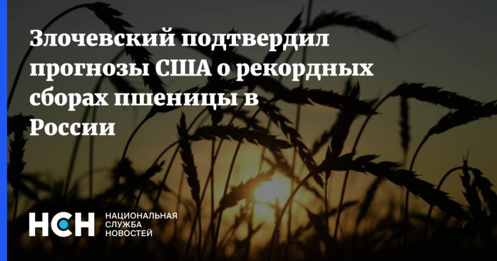 Злочевский подтвердил прогнозы США о рекордных сборах пшеницы в России