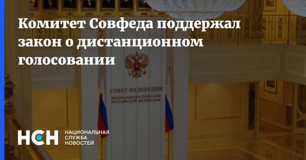 Комитет Совфеда поддержал закон о дистанционном голосовании