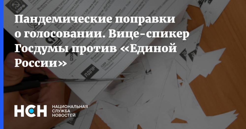 Пандемические поправки о голосовании. Вице-спикер Госдумы против «Единой России»