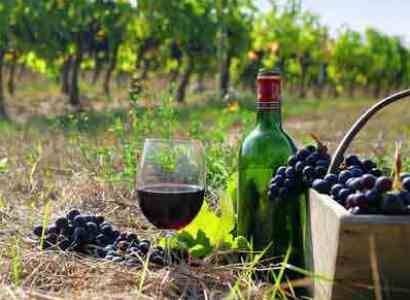 Союз виноделов Армении: Продажи вина на внутреннем рынке упали на 60-70%