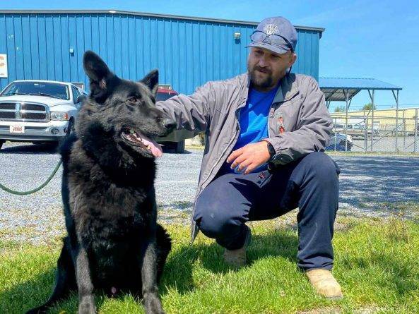 Строитель из Виргинии спас собаку, когда ее хозяйка застряла в пробке по пути к ветеринару