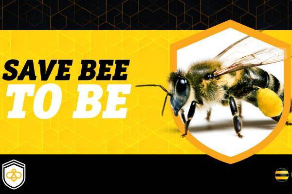 В России запустили платформу для спасения пчел от массовой гибели