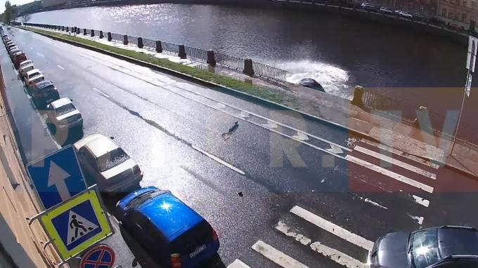 Видео: легковушка пробила ограждение и упала в воду на набережной Фонтанки
