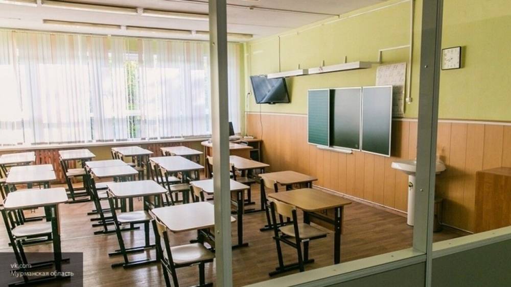 Совфед РФ поддержал идею об отмене общих перемен в школах