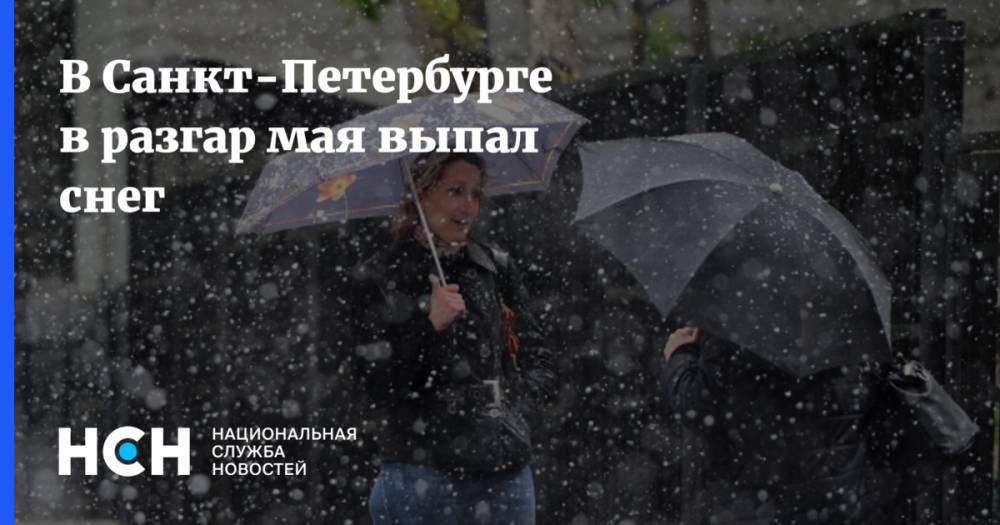 В Санкт-Петербурге в разгар мая выпал снег