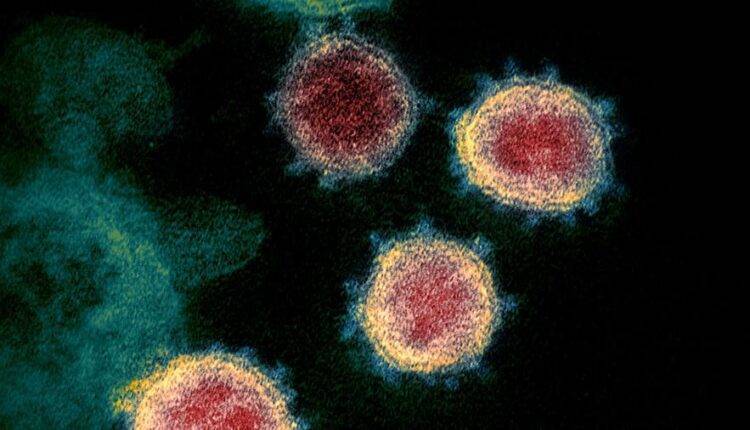 ВОЗ допустила эволюцию коронавируса в эндемическую инфекцию