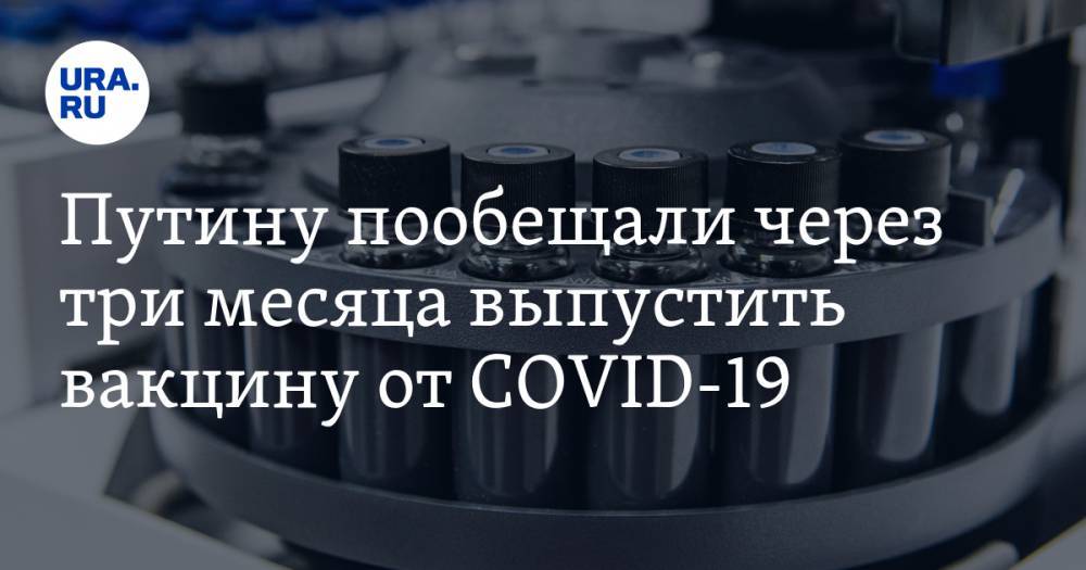 Путину пообещали через три месяца выпустить вакцину от COVID-19