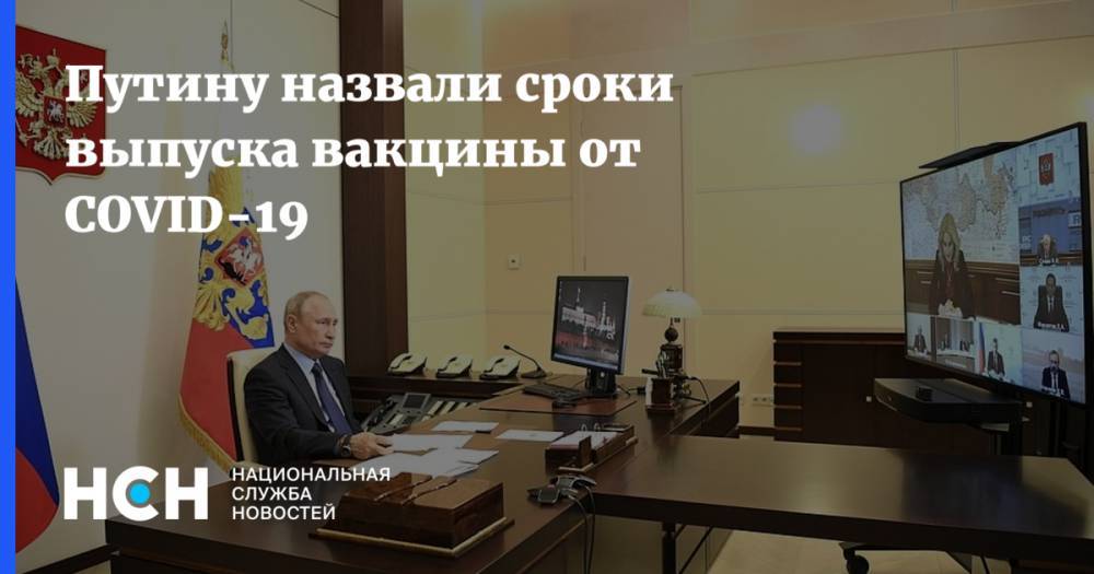 Путину назвали сроки выпуска вакцины от COVID-19