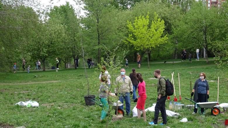 Посадку деревьев в Екатеринбурге назвали "экологическим экстремизмом"