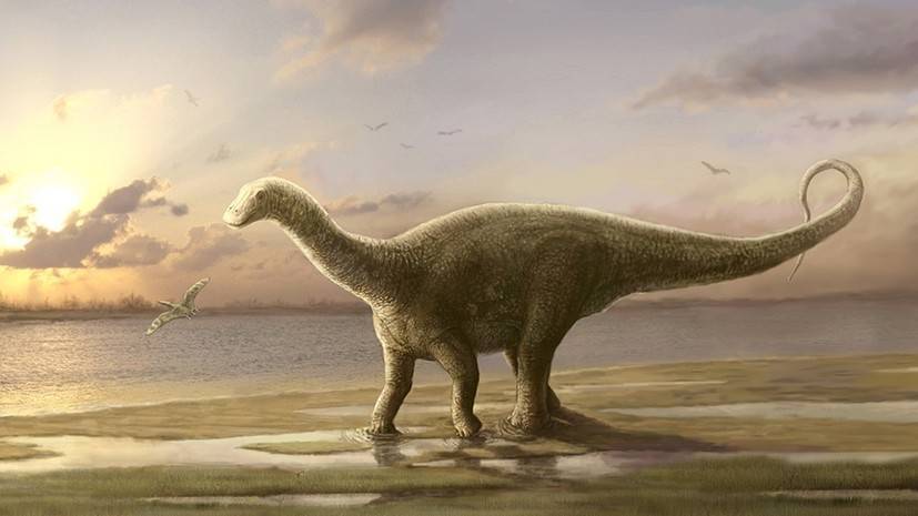 Столичный житель: во времена Юрского периода в Московском регионе обитал родственник травоядного динозавра диплодока
