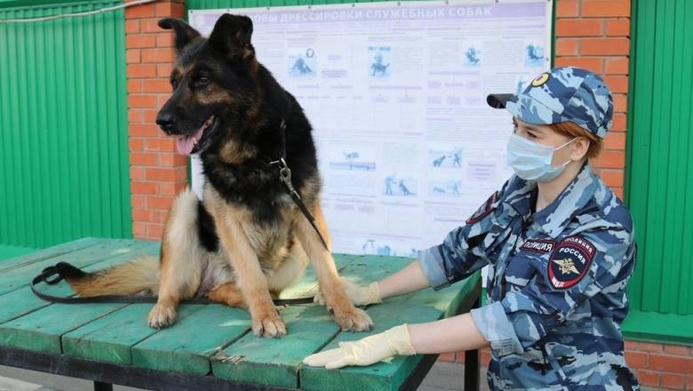 В Тюмени собака-полицейский вышла на пенсию