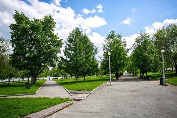 Мэрия Екатеринбурга предложила освободить область от компенсаций за снос деревьев