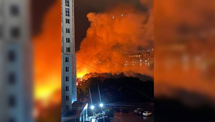 Крупный пожар на берегу воронежского водохранилища сняли на видео