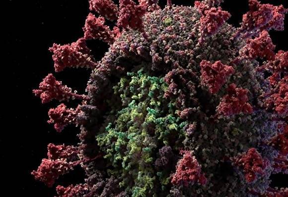 Российская студия представила детальную 3D-модель коронавируса SARS-CoV-2
