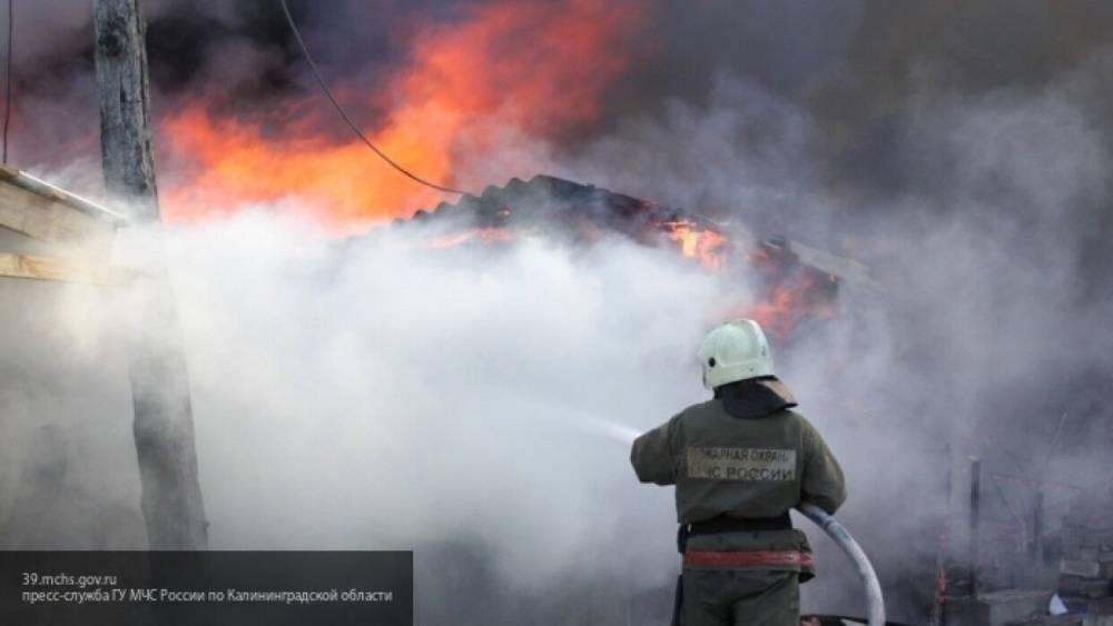 Пожар в здании торгового комплекса ликвидировали в Ленобласти