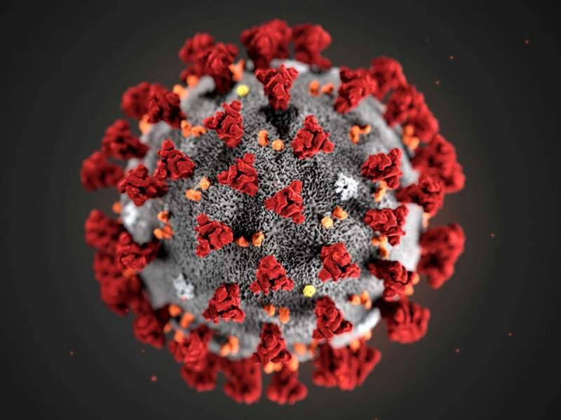 Ученые в России впервые показали детальную 3D-модель коронавируса