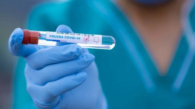 Петербургские учёные нашли способ обмануть коронавирус