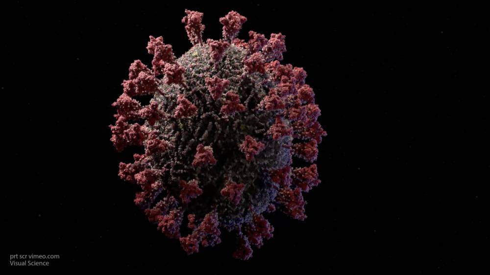 Российские ученые создали детальную 3D-модель коронавируса