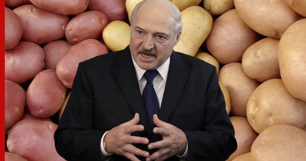 Лукашенко будет спасать белорусскую экономику с помощью картофеля