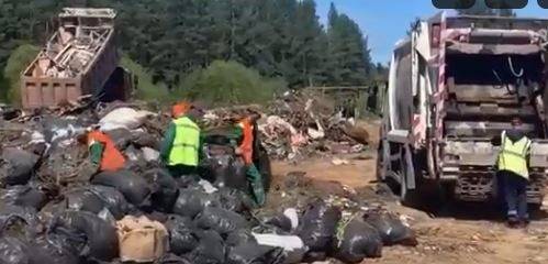 Власти Златоуста отчитались о вывозе мусора. И тут же вывалили в том же месте новый