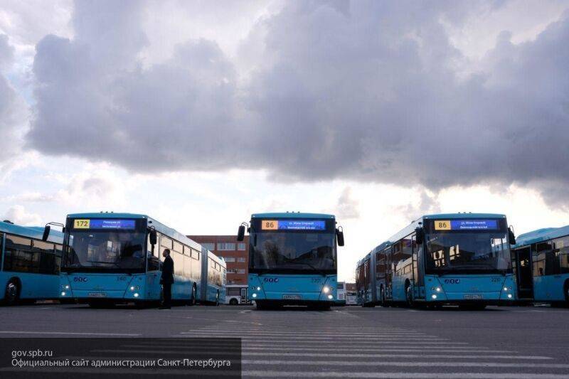 Ракулова о противовирусных автобусах "ГАЗ": перевозчикам проще дезинфицировать самим