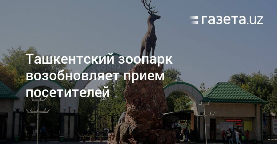 Ташкентский зоопарк возобновляет прием посетителей