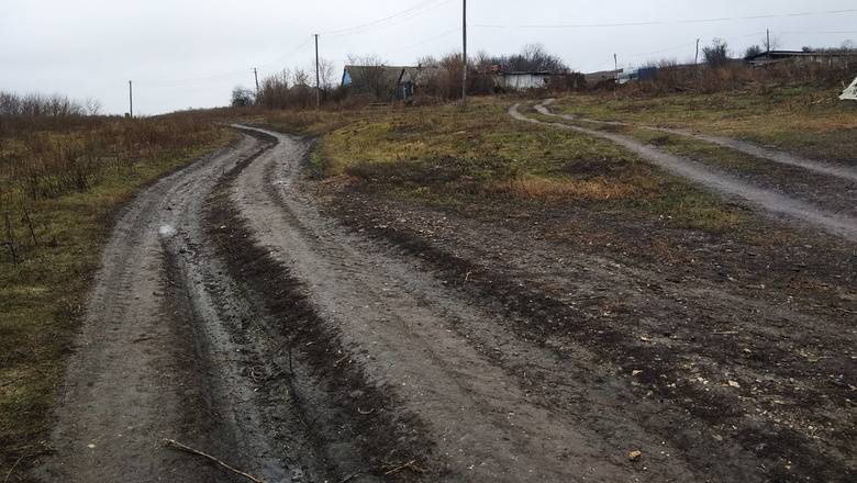 В Тверской области жителям начали бесплатно выделять землю под картофель
