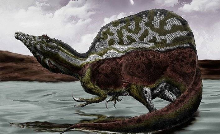 Al Jazeera (Катар): в Марокко обнаружили останки водоплавающего динозавра